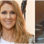Céline Dion écrit à Samuel après sa reprise