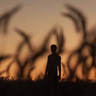 Petit Biscuit s'évade avec "Beam"