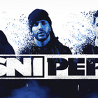 Sniper se sépare, la tournée annulée