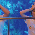 Halsey et sa "clementine" dans un aquarium