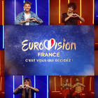 Eurovision 2021 : les 12 candidats !
