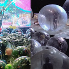 Flaming Lips : des concerts dans des bulles