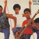 Musical Youth cartonne avec "Pass The Dutchie"