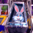 Mask Singer : on a démasqué le Robolapin