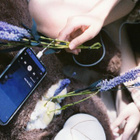 Notre playlist coups de coeur du moment