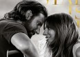 "A Star Is Born" : le DVD sortira le...