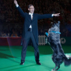 Will Young et son chien pour "Come On"