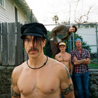 Red Hot Chili Peppers : "Look Around" en single