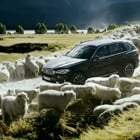 Pub BMW Absolut xDrive : qui chante ?