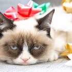 Playlist : la journée du bonheur !