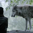 "Homeless" : le côté animal de Marina Kaye