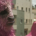 Noa de retour avec "Nothing But A Song"