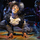 "Cats" à Mogador : ronronnez de plaisir !