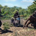 Découvrez le nouveau clip de Coldplay !