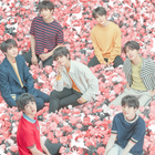 La folie BTS en chiffres