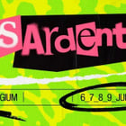 Les trois concerts les plus attendus aux Ardentes