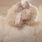Sia de retour avec "Gimme Love" : le clip !