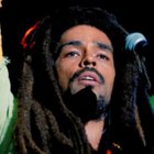 Bob Marley : le film numéro un du box office