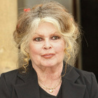 Brigitte Bardot évoque sa santé avec émotion