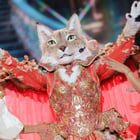 Mask Singer : qui était le Lynx ?