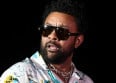 Shaggy : personne n'a compris "It Wasn't Me" !