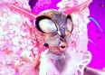 Mask Singer : qui est le Papillon ?