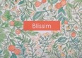 Musique de pub "Blissim" : qui chante ?