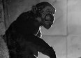 Mylène Farmer absente de son clip "Monkey Me"