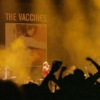 Encore un nouveau clip pour The Vaccines