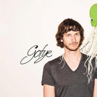 Gotye ré-orchestre son hit grâce à YouTube