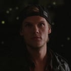 Avicii : découvrez le clip "Hey Brother" !