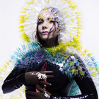 Björk publie son album "Vulnicura" en avance