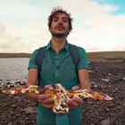 Laurent Lamarca : le clip "Le vol des cygnes"