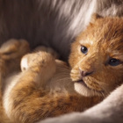 "Le Roi Lion" : première bande-annonce