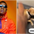 Timal frappe son chien sur Snapchat : polémique