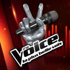 The Voice 2023 : les coachs sont...