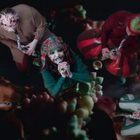 Björk fait la fête dans le clip "Fossora"