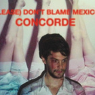 Découvrez le groupe (Please) Don't Blame Mexico