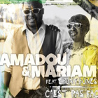 "C'est pas facile" pour Amadou & Mariam