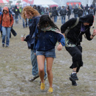 Pluie et fréquentation en hausse à Solidays