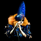 Björk : l'album "Bastards" le 19 novembre