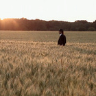 Stanislas revient "Là où le ciel rejoint la Terre"