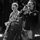 U2 à Bercy : un show magistral et politique