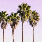 Août : les coups de coeur de la rédac !