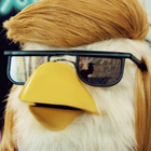 El Capon, le poulet DJ qui cartonne