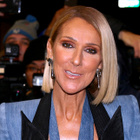 Céline Dion : un projet artistique inattendu