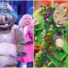Mask Singer : on a démasqué tous les costumes