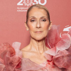 Céline Dion fait sensation au concert de Coldplay