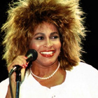 Tina Turner : une statue détruite par les internautes