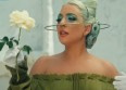 Lady Gaga : un coffret le 20 novembre !